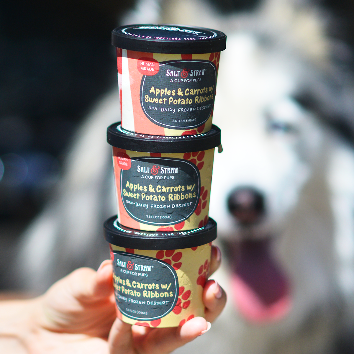 Alternative view of Pup Cups