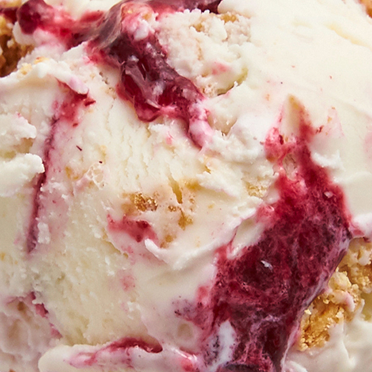 Wild Foraged Berry Slab Pie